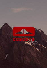 CosoSys