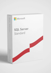 SQL Server 2022 STANDART EDITION