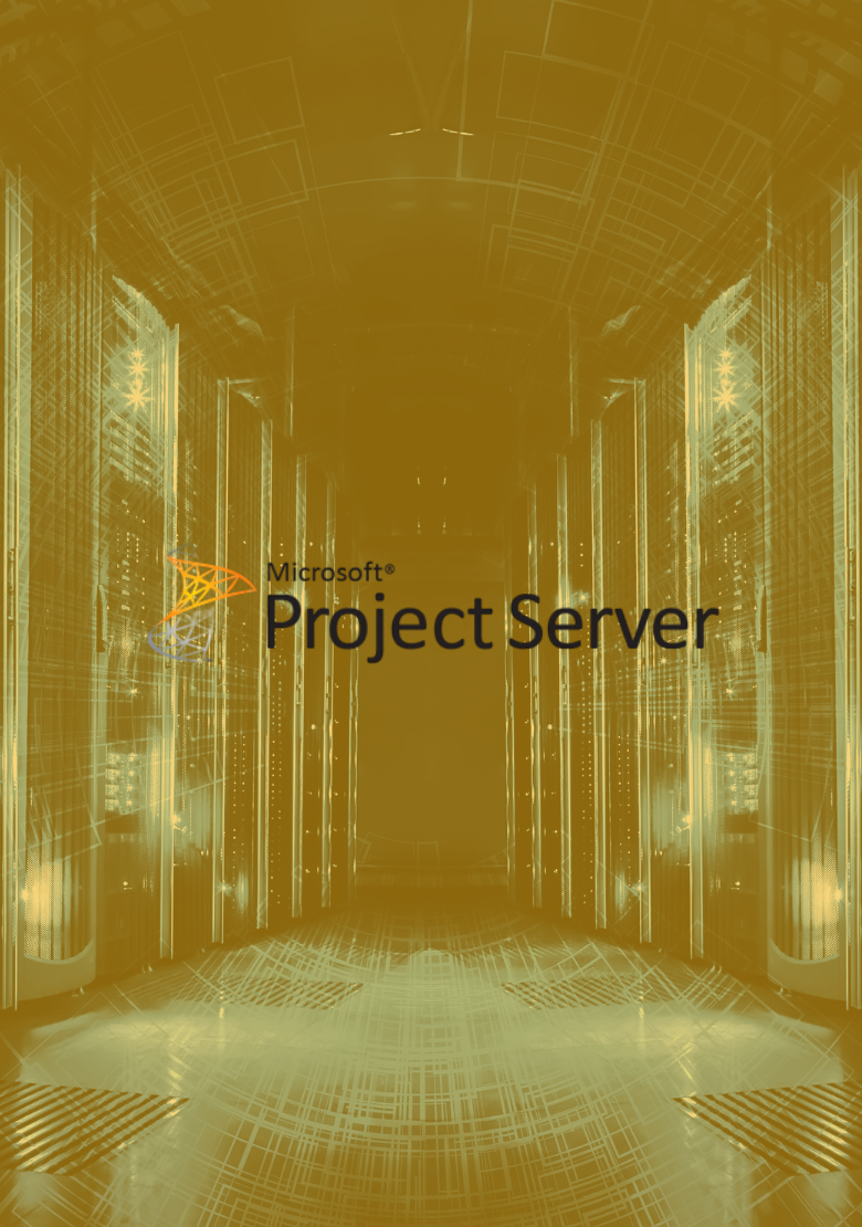 Project Server Standart 2024 - ESD – AVROSIS