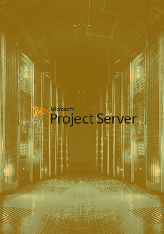 Project Server