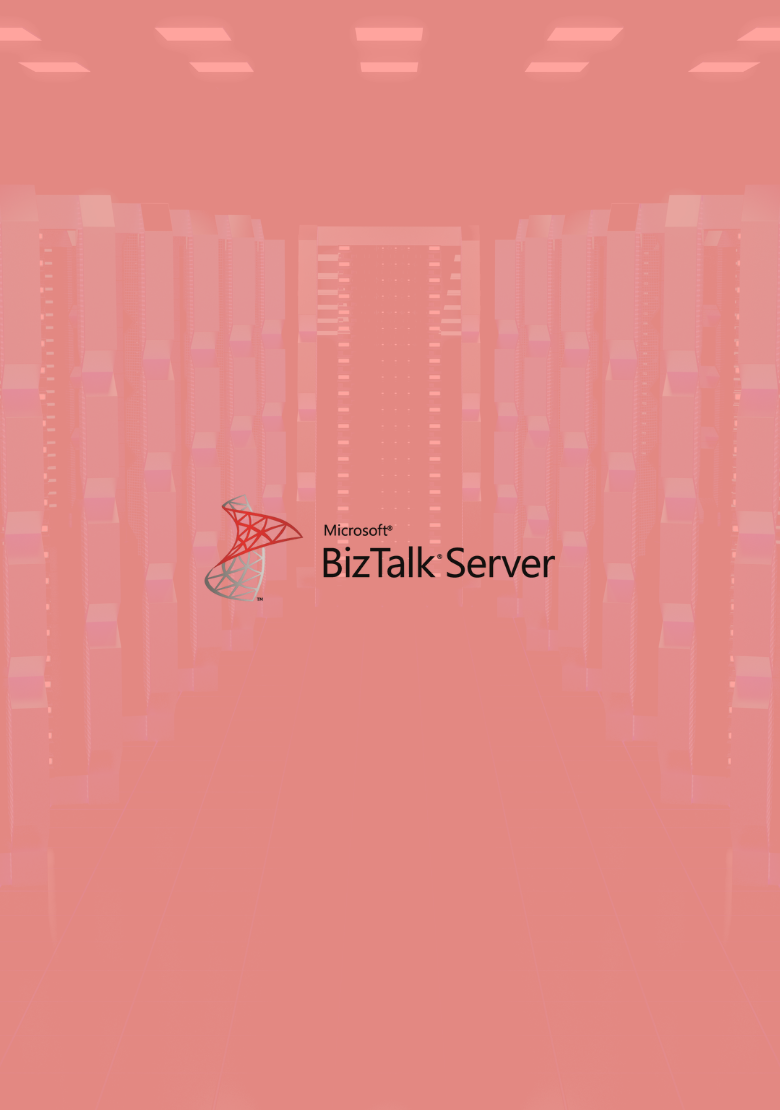 Biz Talk Server