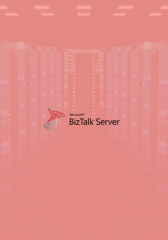 Biz Talk Server