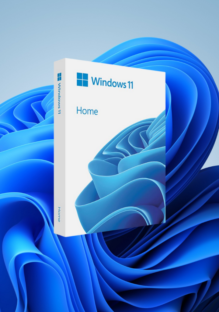 Windows 11 Home ORİJİNAL ESD TR-ING