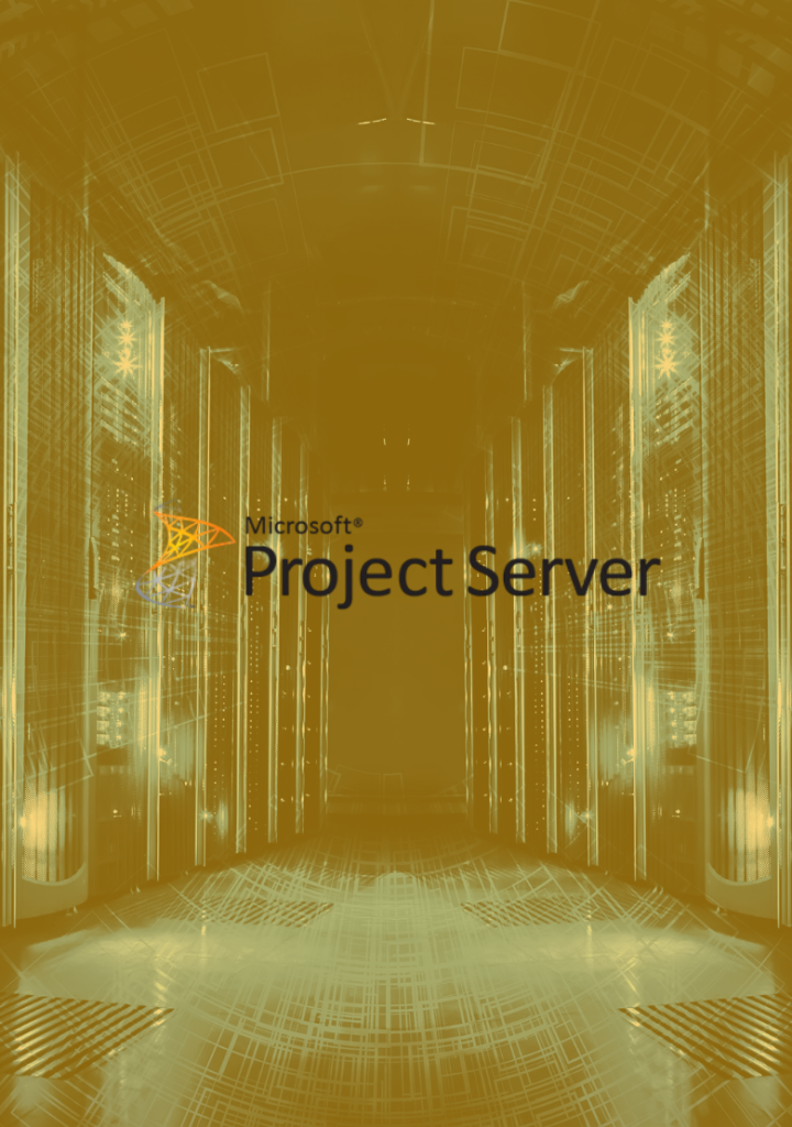 Project Server Standart 2024 - ESD