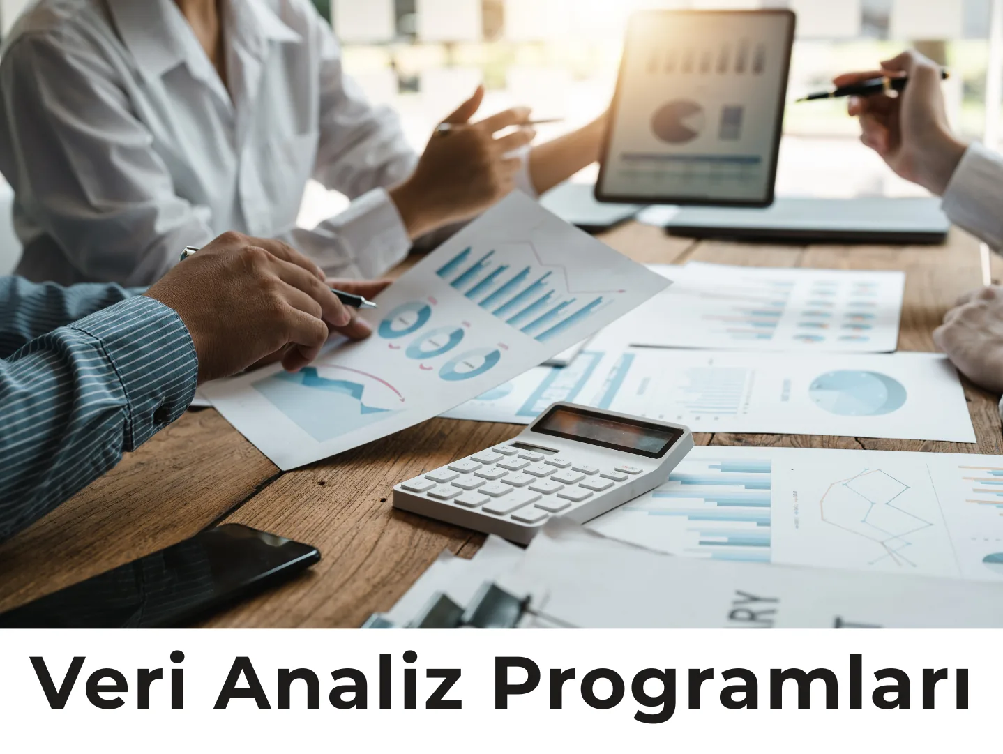 Veri Analiz Programları
